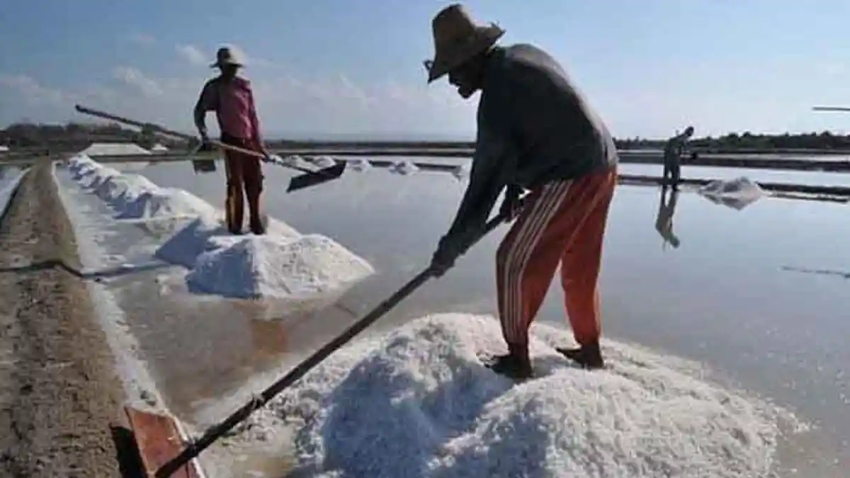 Produksi Garam Rakyat Sumenep 2024 Lampaui Target