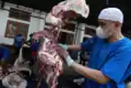 Pemotongan Hewan Kurban Idul Adha