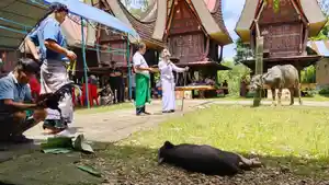 ritual-rambu-langi-sangalla-tana-toraja-21112025.jpg