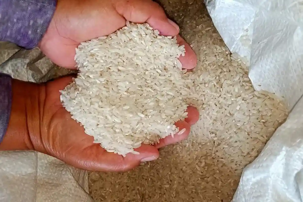 Harga Beras di Kutai Timur Naik, Disperindag Beberkan Faktor Penyebabnya