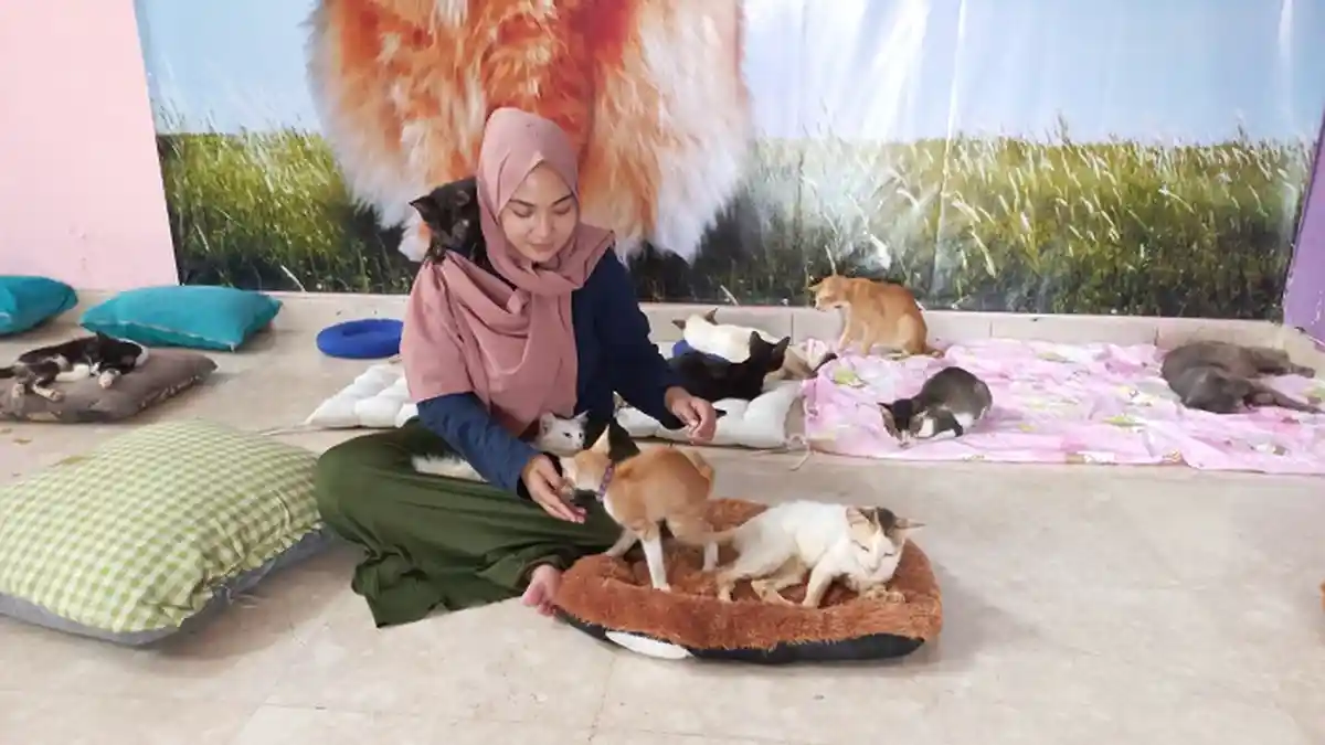 Sosok Eneng: Tekun Merawat 65 Anak Kucing dan Anjing Cacat di Rumah Blendy Depok 
