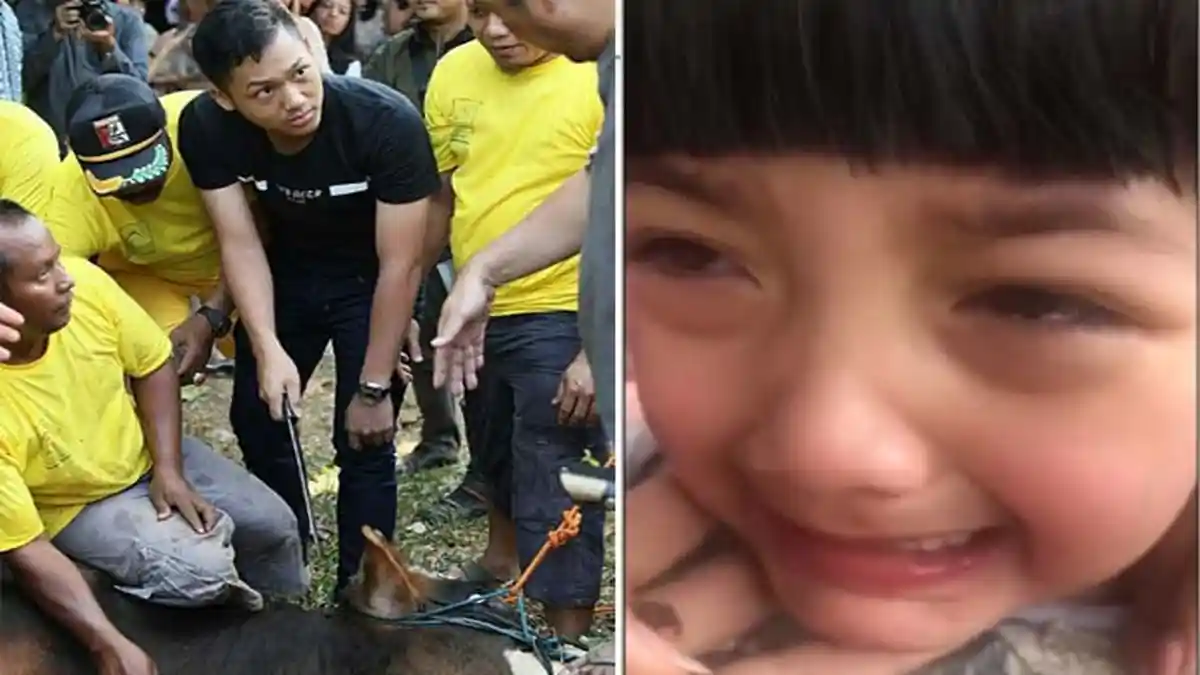 Nangis Lihat Hewan Kurbannya Disembelih Azriel, Ini Alasan Lucu Arsy Hermansyah