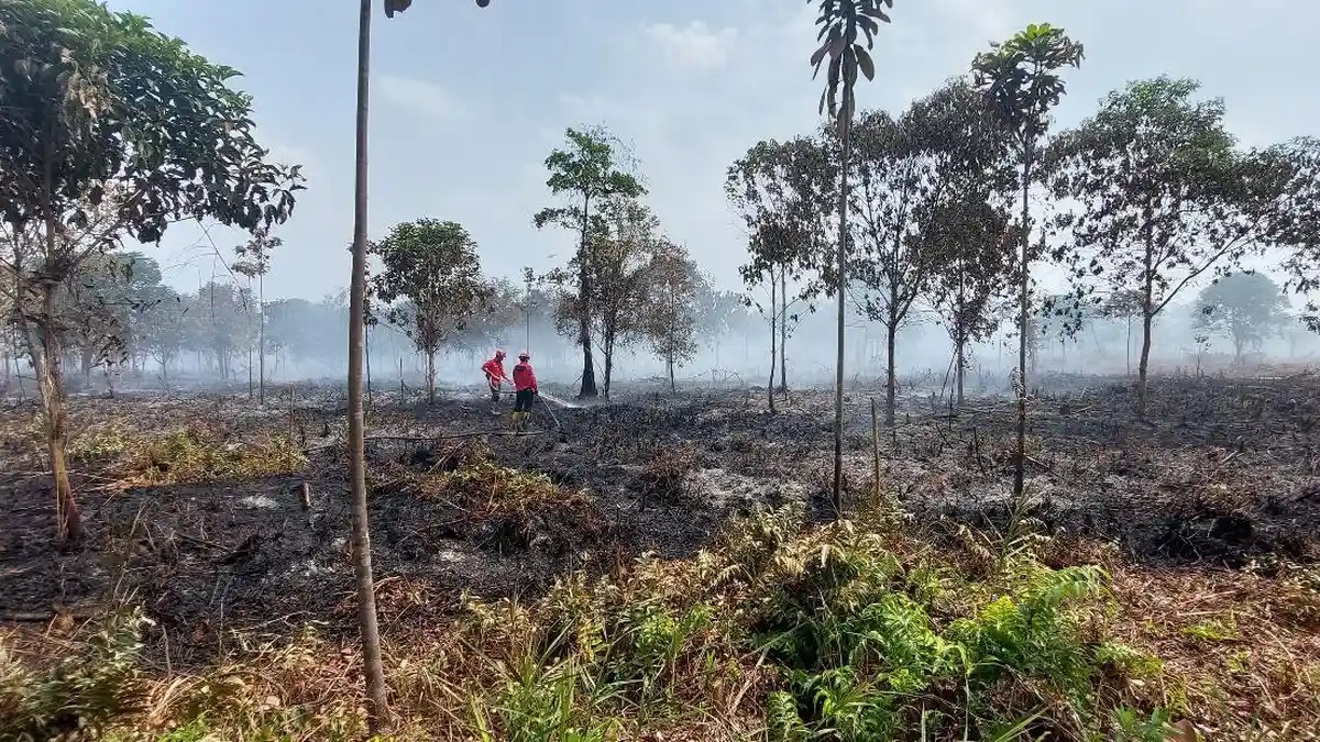 62 Desa dan Kelurahan di Batang Hari Jambi Masuk Zona Rawan Karhutla