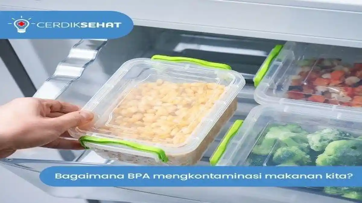 Kemasan Makanan Bahan Plastik Juga ada Dampak Buruknya, Simak Penjelasan Komunitas Cerdas Sehat