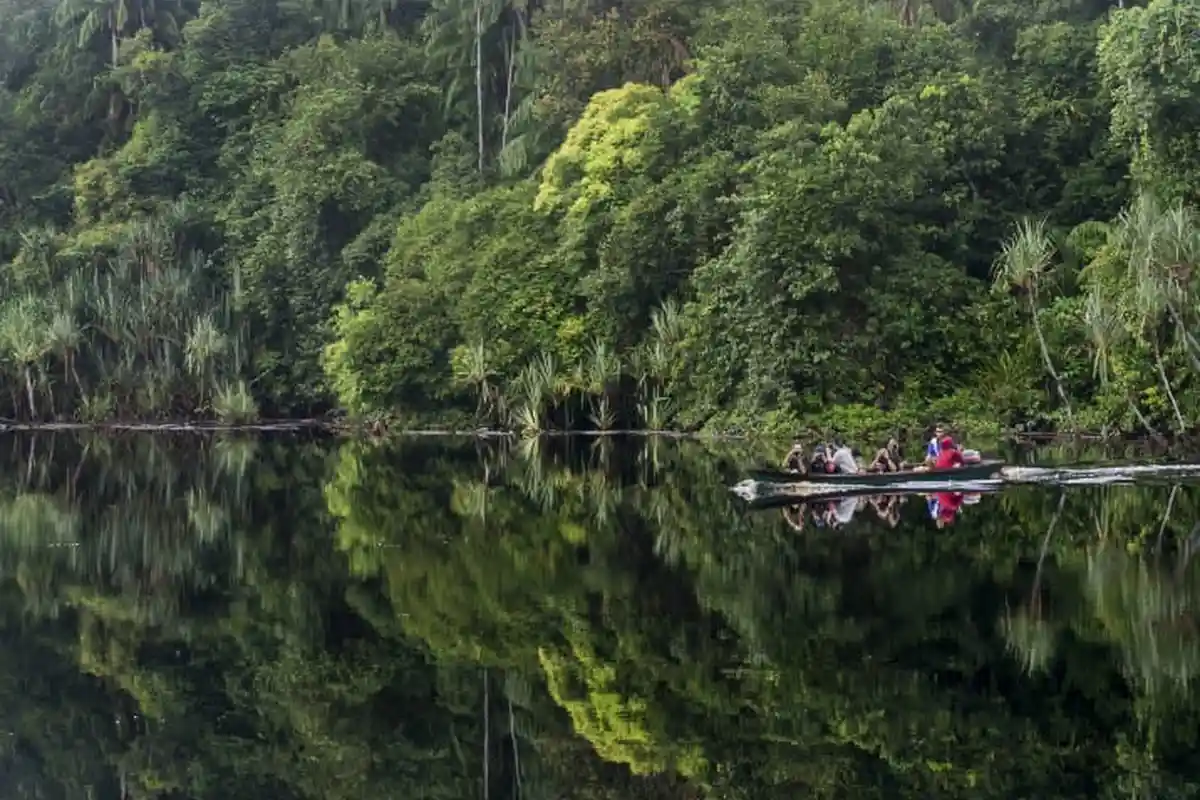 TNB Rumah Harimau Sumatera Terancam Illegal Logging dan Perambahan