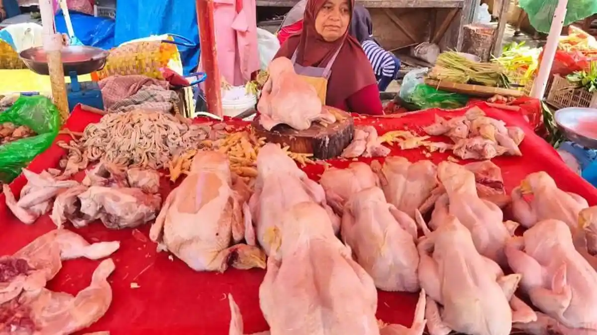 Jelang Iduladha, Harga Ayam Potong di Pasar Pasir Gintung Masih Stabil