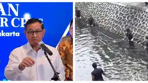 PENANGANAN-IKAN-SAPU-SAPU-Gubernur-DKI-Jakarta-Pramono-Anung.jpg