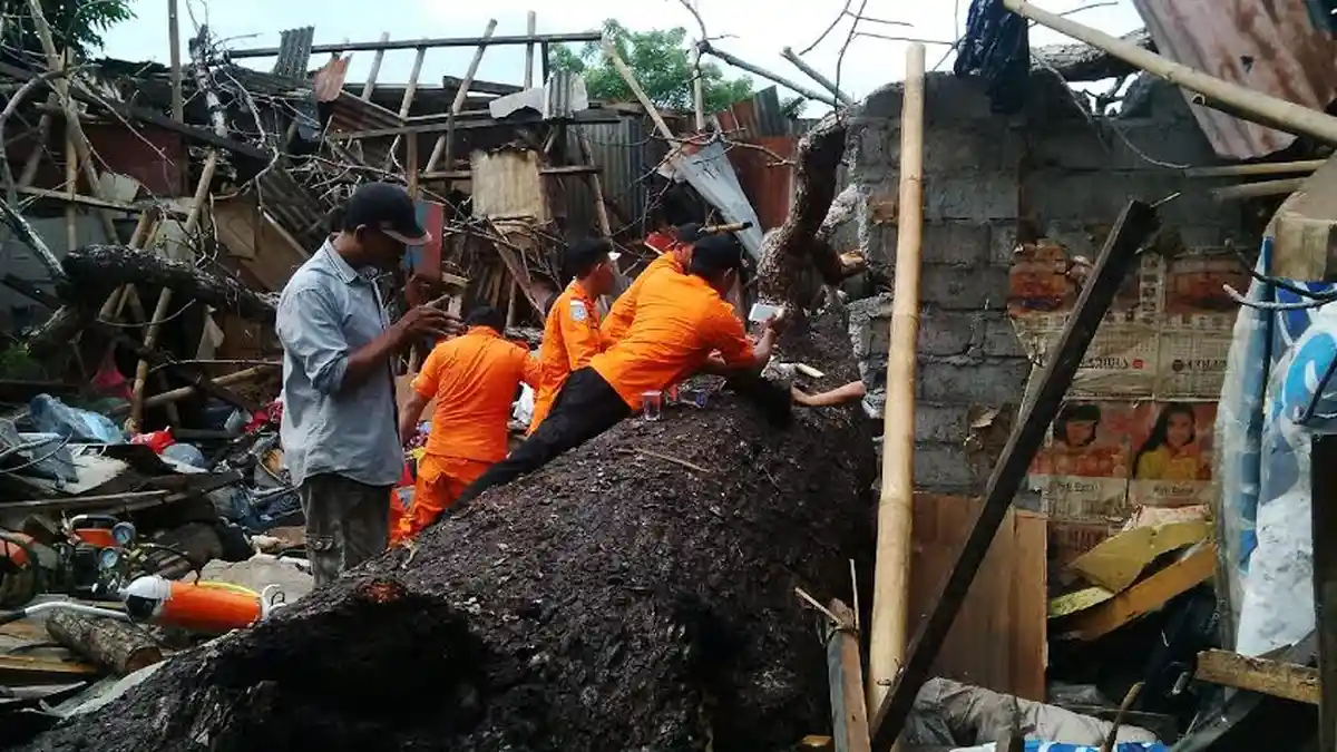 Seorang Balita Tewas Tertimpa Pohon Tumbang
