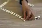 iLUSTRASI-Domino-resmi-anggota-KONI.jpg