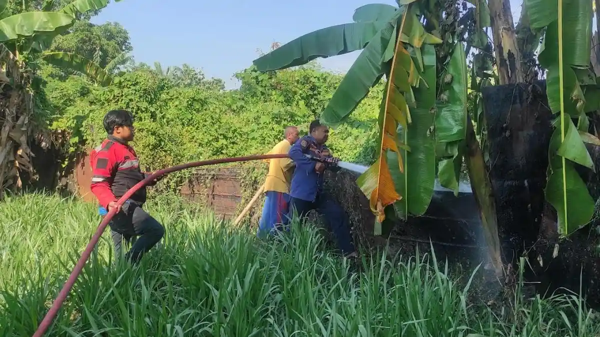Lagi-lagi Karena Warga Bakar Sampah Jadi Pemicu Kebakaran Lahan di Dulomo Utara Gorontalo