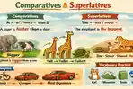 50-Soal-HOTS-Bahasa-Inggris-Kelas-5-SD-Materi-The-Elephant-Is-The-Biggest.jpg