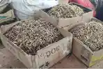 Harga Ikan Asin Teri di Pasar Rau Kota Serang Tembus Rp100 Ribu per Kg, Cumi Asin Sotong Rp130 Ribu