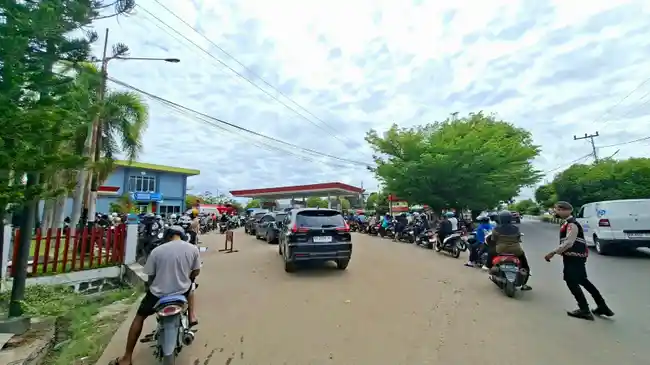 Tribun