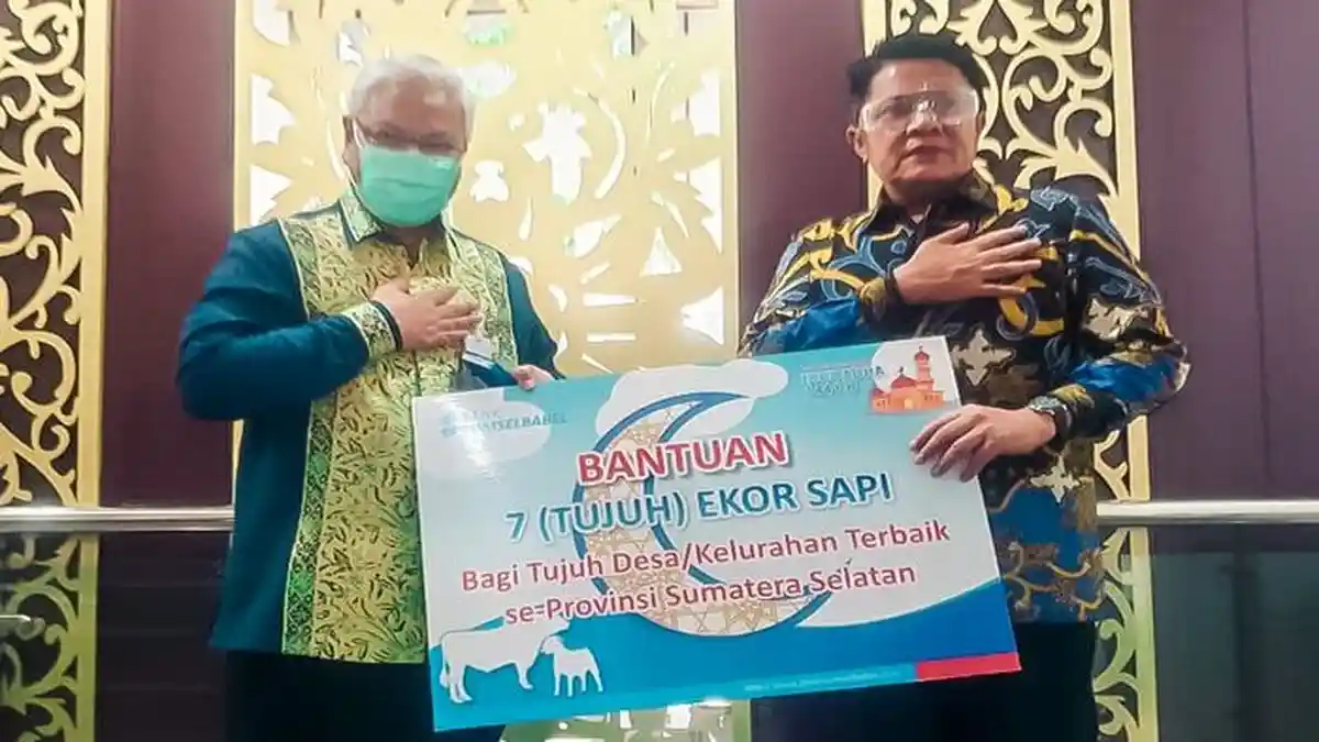 Bank Sumsel Babel Salurkan Bantuan 13 Ekor Hewan Kurban di Hari Raya Idul Adha 2020