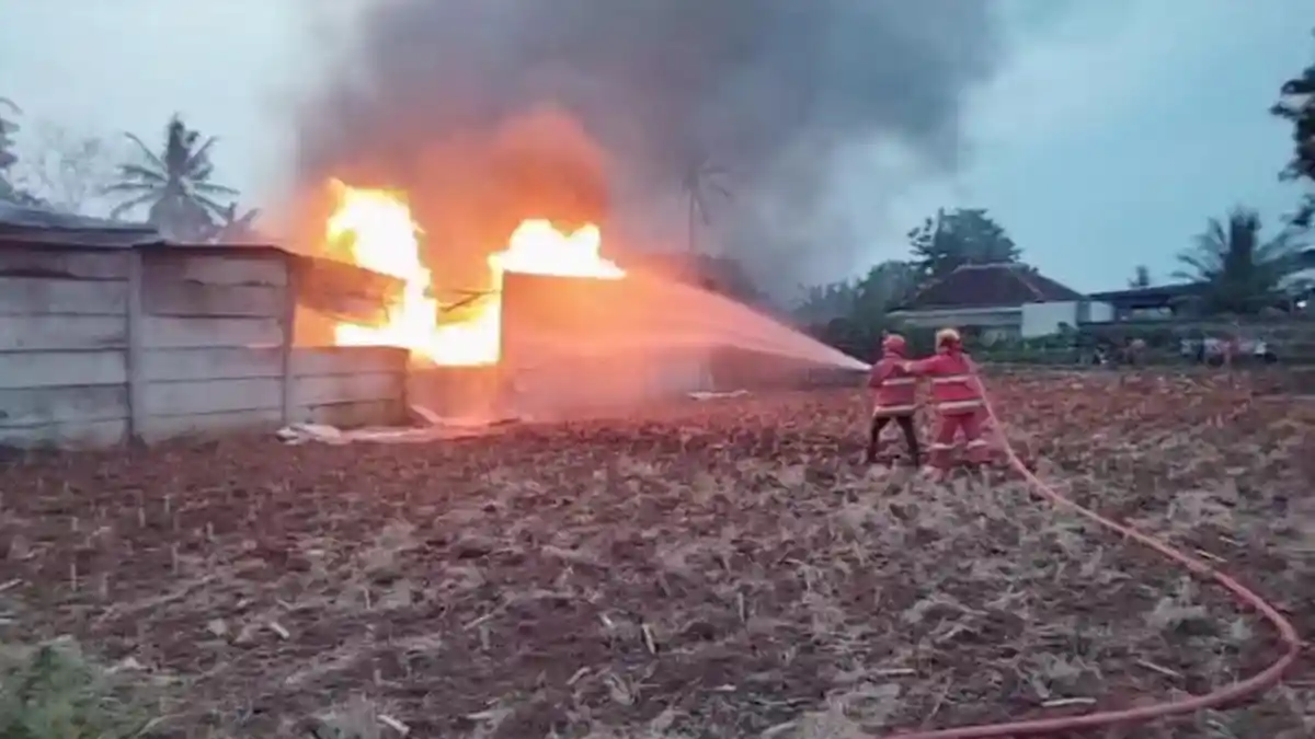 Asap Hitam Tebal Selimuti Lampung Selatan Usai Gudang CPO Terbakar Hebat