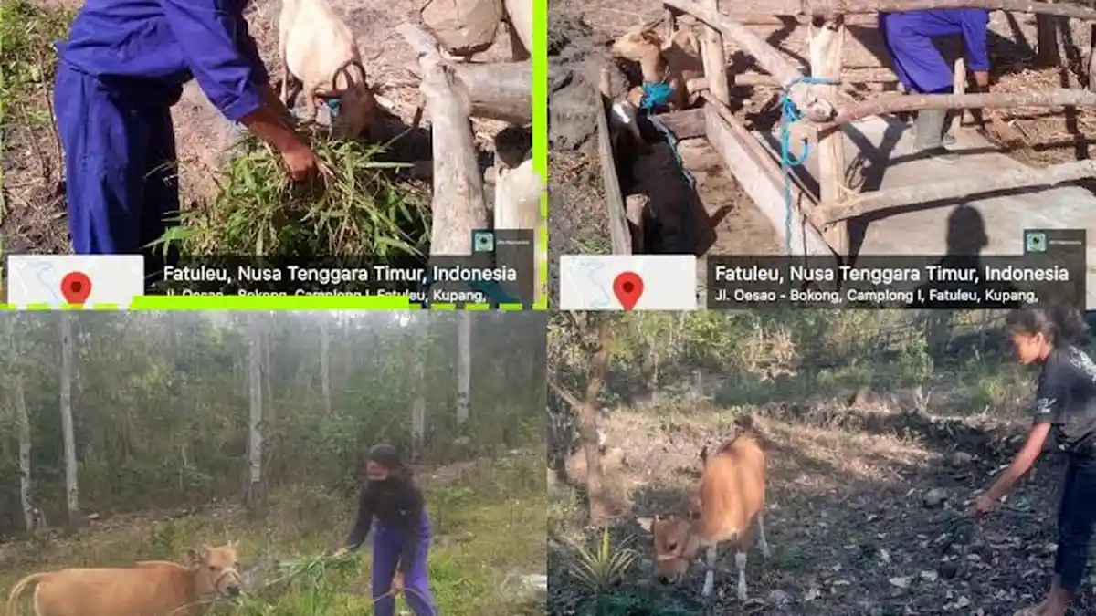 Semangat Luar Biasa, SMK PP Negeri Kupang Tetap Produktif Laksanakan Praktik Kerja Lapang