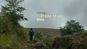 Lirik-Lagu-Cidrone-Jeru-Divirsa.jpg