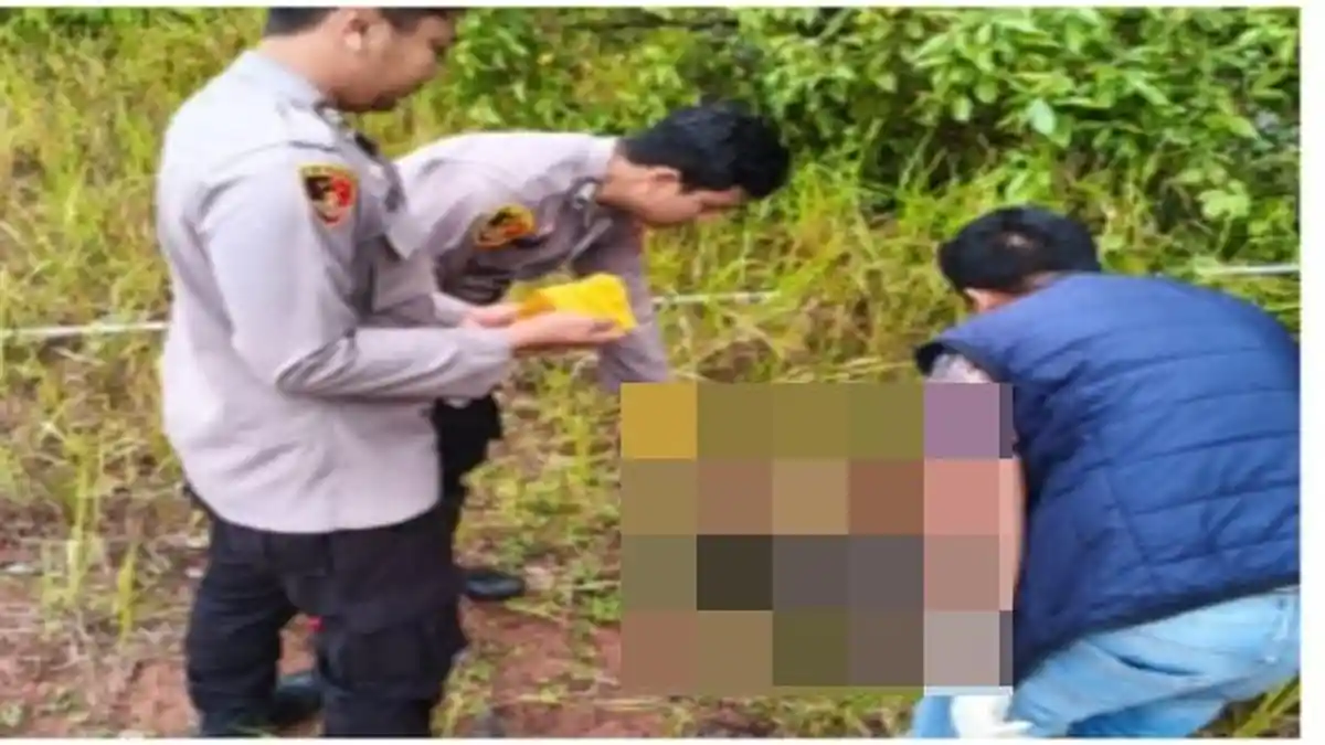 Petani di OKU Tewas Tersengat Listrik Saat Panen Sawit, Ditemukan Tergeletak di Bawah Kabel - Sripoku.com