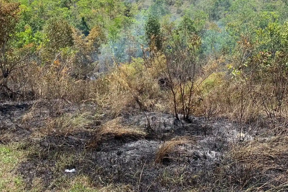Diduga Akibat Bakar Sampah, Warung dan Lahan di Bukit Tugu AURI Aceh Besar Terbakar