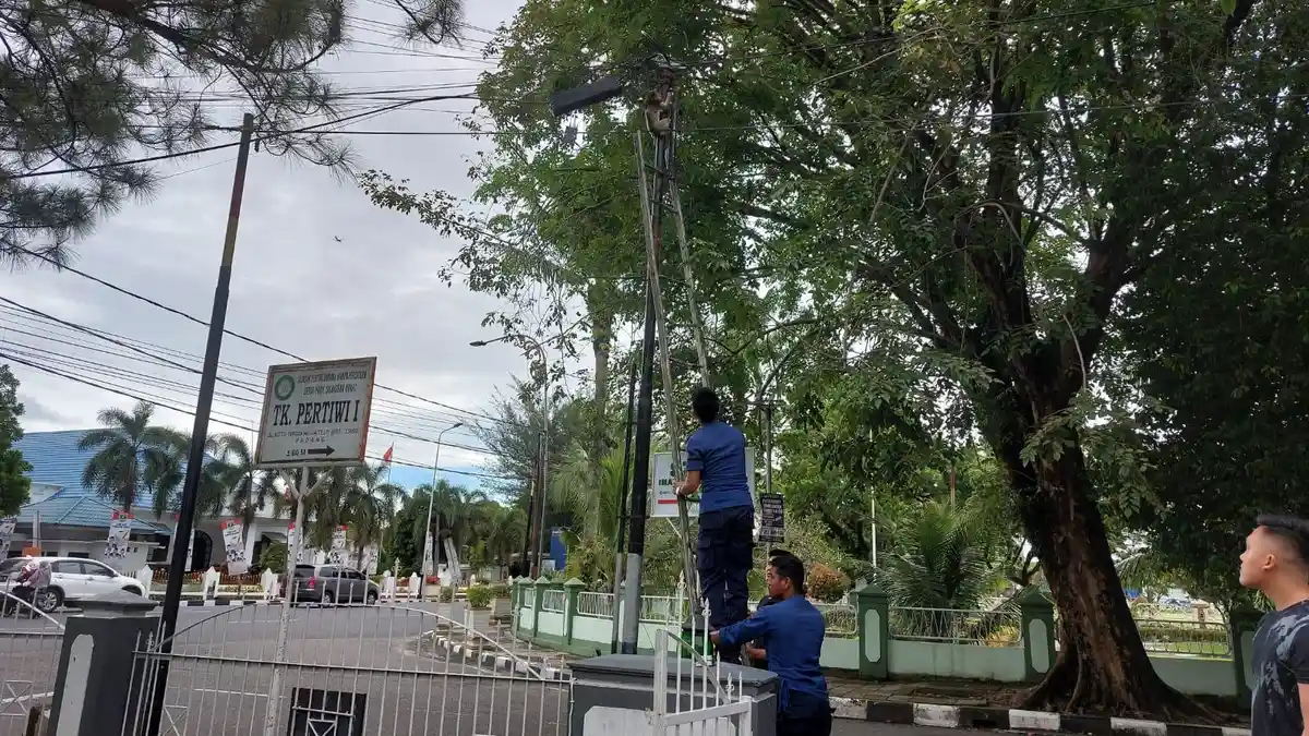 Monyet Tersangkut Kabel Telepon di Padang, Langsung Lari Setelah Diselamatkan Petugas Damkar 