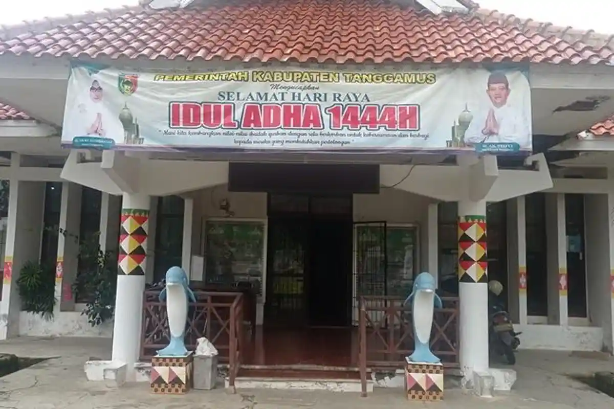 4 Hewan Ternak di Tanggamus Terkena Cacing Hati Saat Idul Adha