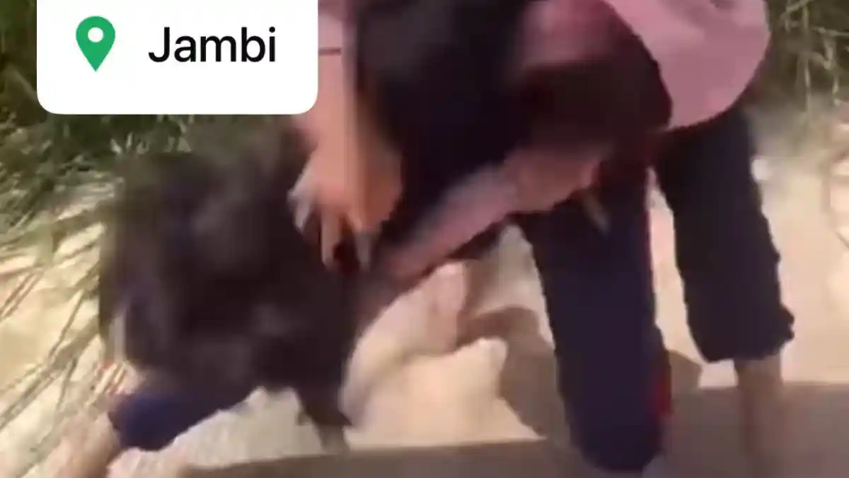 Viral Dua Pelajar Wanita Terlibat Pertarungan di Pinggir Jalan dengan Seragam Olahraga