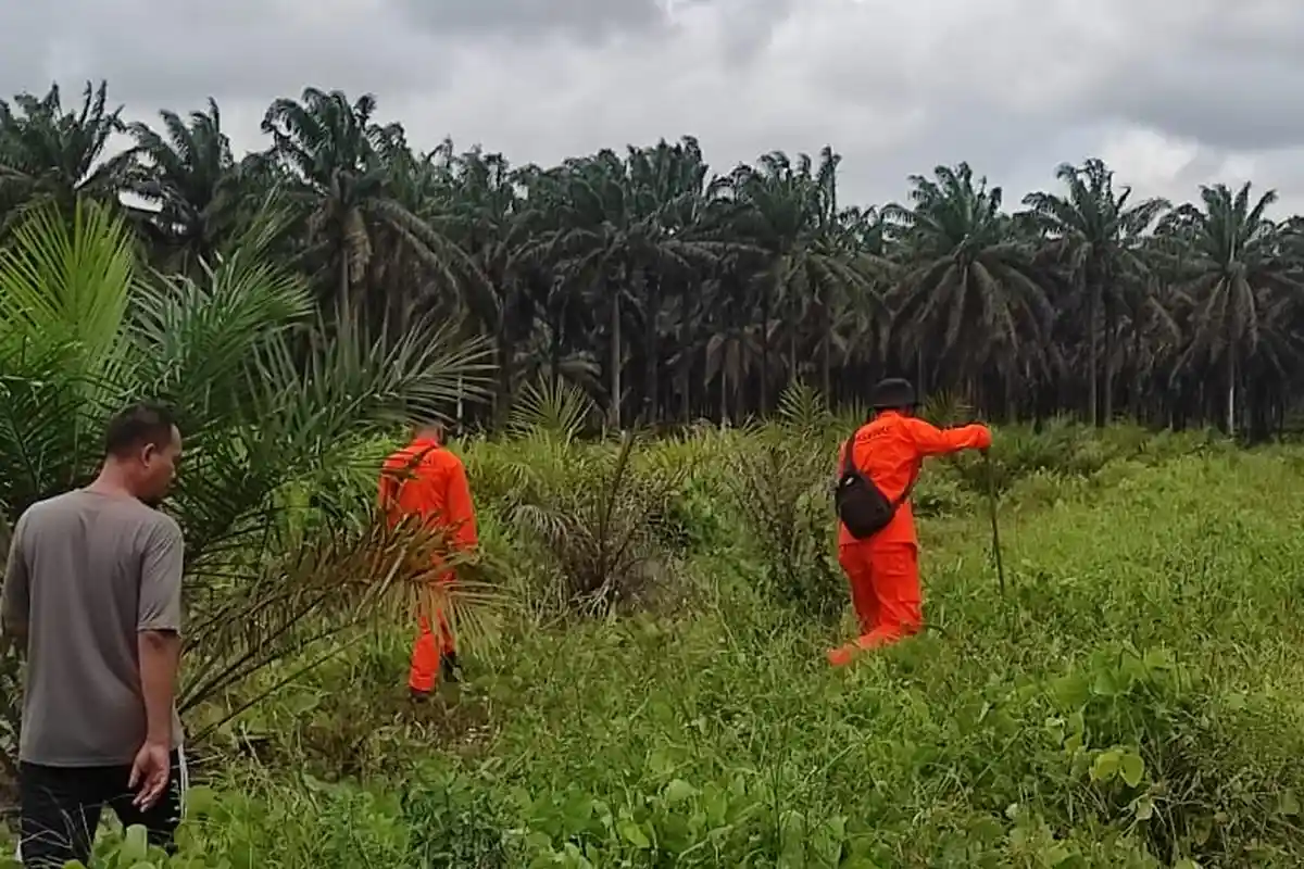 Hafiza Hilang Misterius, Kisah Bocah Hilang di Kalimantan Ditemukan Selamat Bikin Merinding