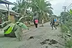 Warga Blokir Jalan, Tanami Pisang dan Tuntut Segera Diaspal