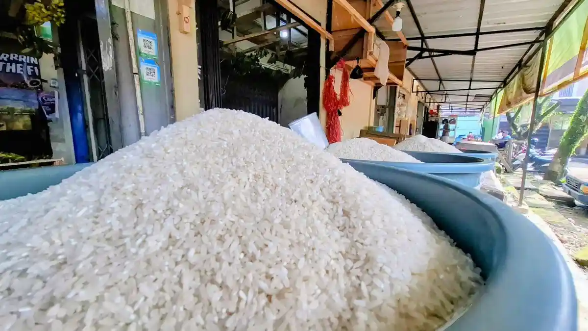 Surplus Beras 2025 Tertinggi Sejak 2019, tapi Harga Belum Turun, Stok di Pasar Belum Melimpah?