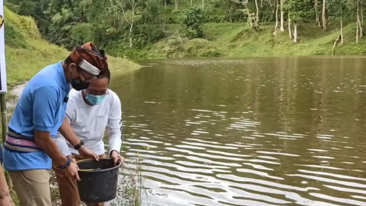Sekda Juaini dan Menteri Sandi Lepas 50 Ribu Bibit Ikan di Desa Tetebatu