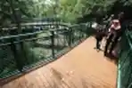 Skywalk Babakan Siliwangi (Baksil) Bandung