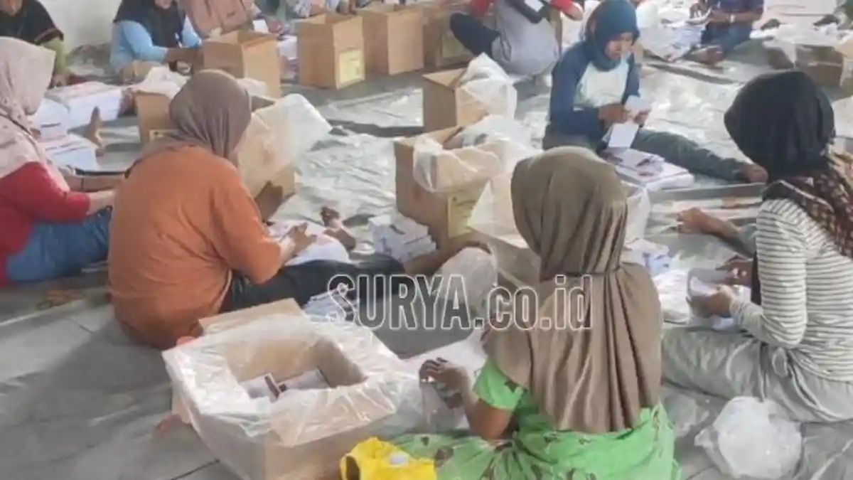 Petugas Pelipatan Surat Suara Pilkada Jember 2024 Didominasi Emak-emak