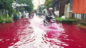 Banjir-MErah-solo-245.jpg