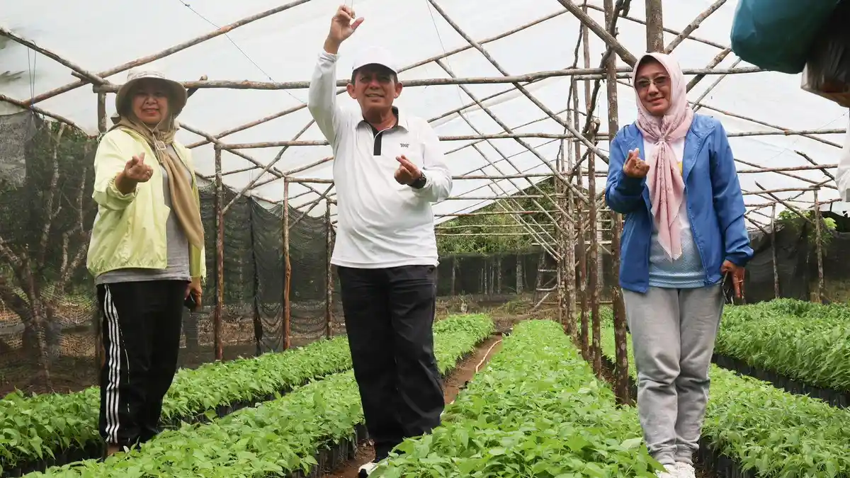 Gubernur Kepri Serahkan 45 Ribu Bibit Cabai ke Batam, Tanjungpinang dan Bintan, Tekan Inflasi