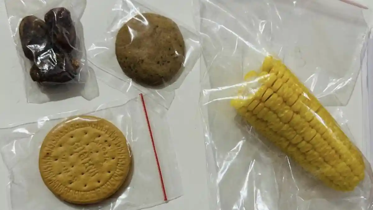 Menu MBG di Batam Saat Ramadan Tuai Sorotan, SPPG Pastikan Sudah Sesuai ...