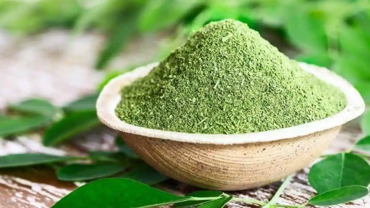 Khasiat Daun Kelor yang Jarang Diketahui, Lengkap dengan Kandungan Nutrisi Moringa
