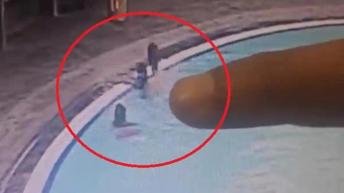 Takut Terpergok Lifeguard, YA Benamkan Kepala Dante 12 Kali dengan Durasi Berbeda-Beda
