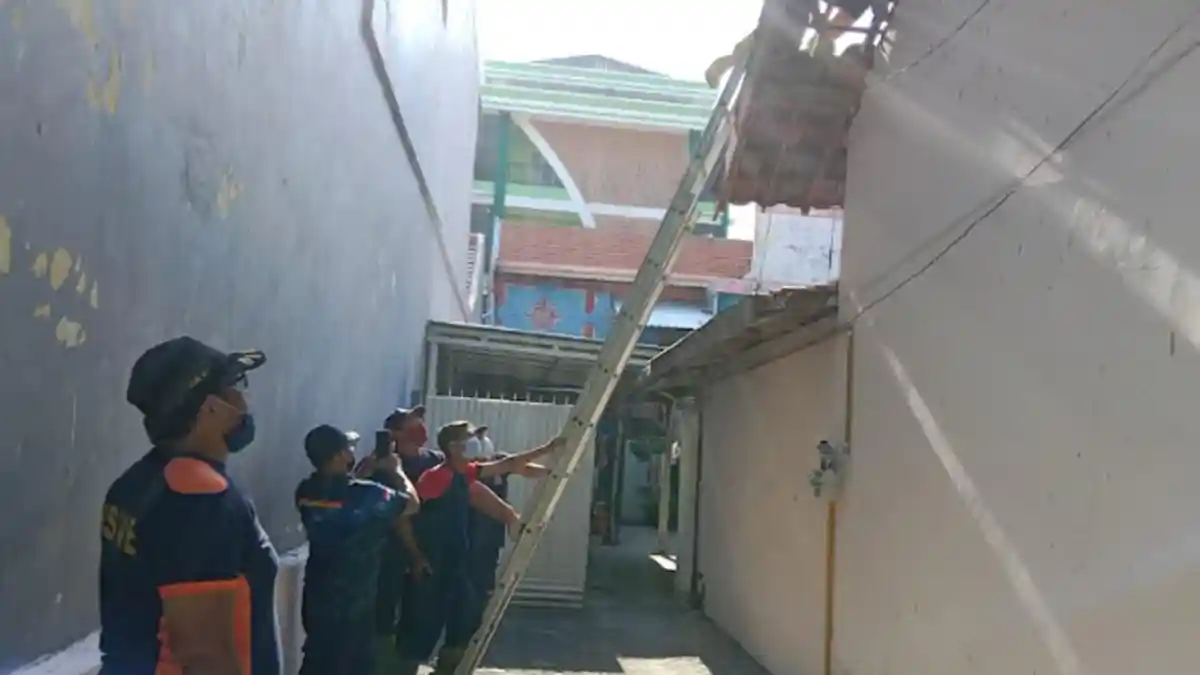 Pasukan Damkar Lamongan Berjuang Selama 1 Jam di Atap Rumah, Semua Gara-Gara Kucing Mahal Ini