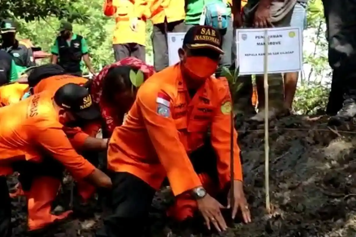 Rayakan Ulang Tahun Emas Basarnas, Kantor SAR Cilacap Tanam 200 Pohon Mangrove
