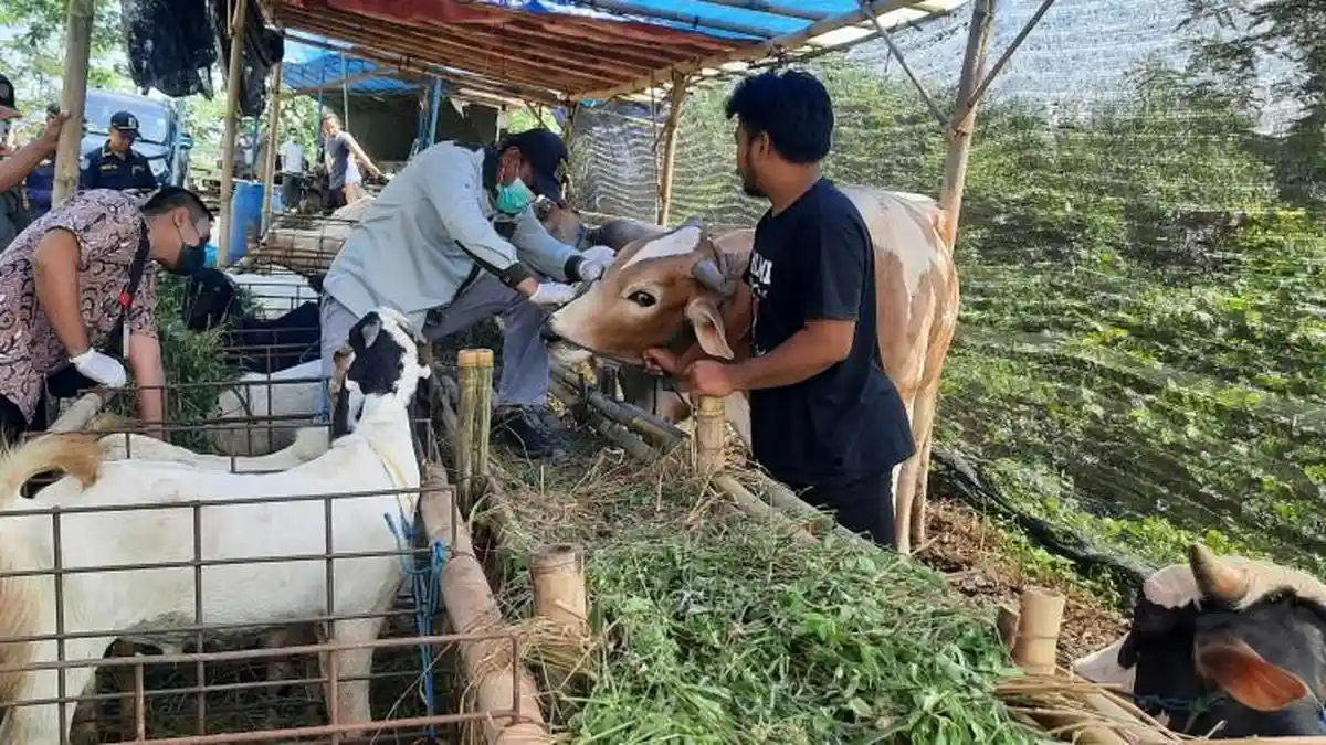 Satpol PP Jateng Apresiasi Kota Semarang Tegas Lakukan Pengawasan Hewan Kurban Saat Wabah PMK