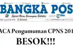 pengumuman-cpns-2018_20180918_173109.jpg