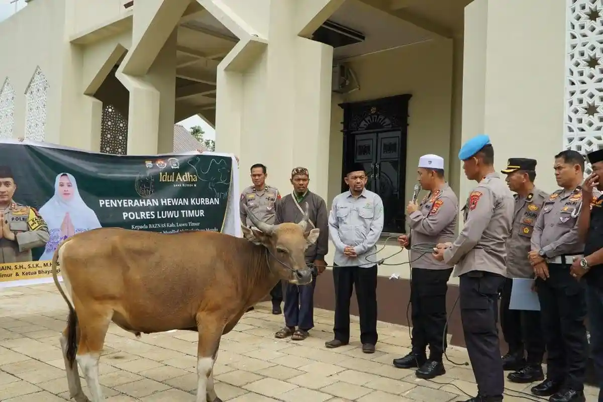 Polres Luwu Timur Sulsel Kurban 18 Ekor Sapi Hari Raya Iduladha 1445