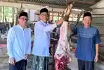 Kemenag-Aceh-Barat-Sembelih-40-Hewan-Kurban-pada-Idul-Adha-Disalurkan-untuk-Warga-dan-Pegawai.jpg