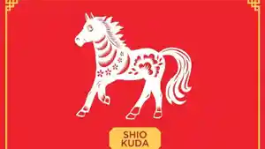 0111_shio-kuda.jpg