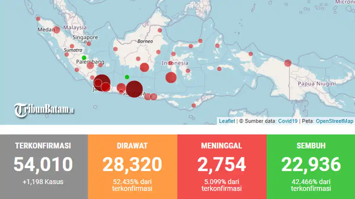 Data Corona 34 Provinsi Indonesia Senin (29/6) Siang, Total 54.010, Sembuh 22.936, Dirawat 28.320