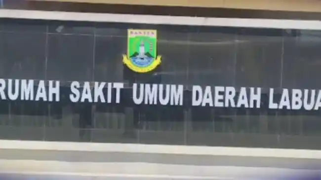 Tribun