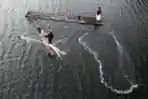 Menjala Ikan di Dam Cipanunjang Bandung