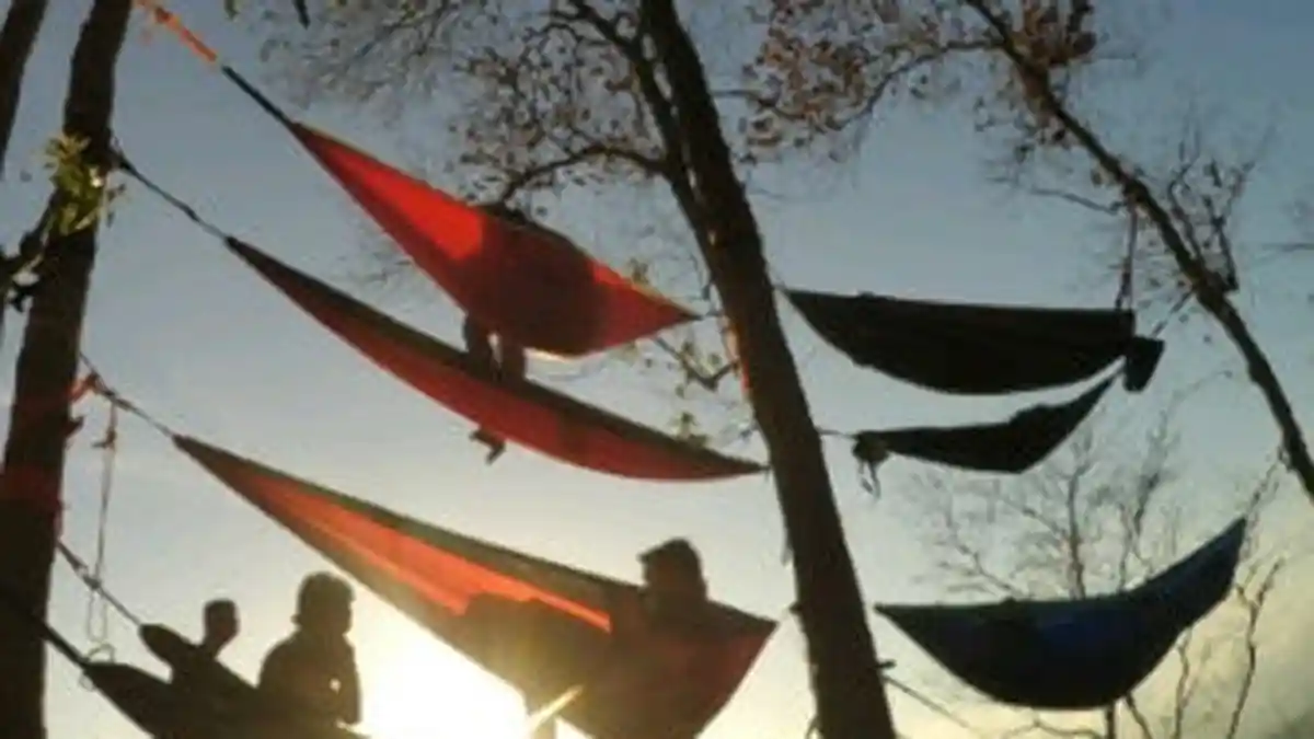 Lebih 100 Penggemar Hammock Bergelatungan di Hutan Sultan Adam
