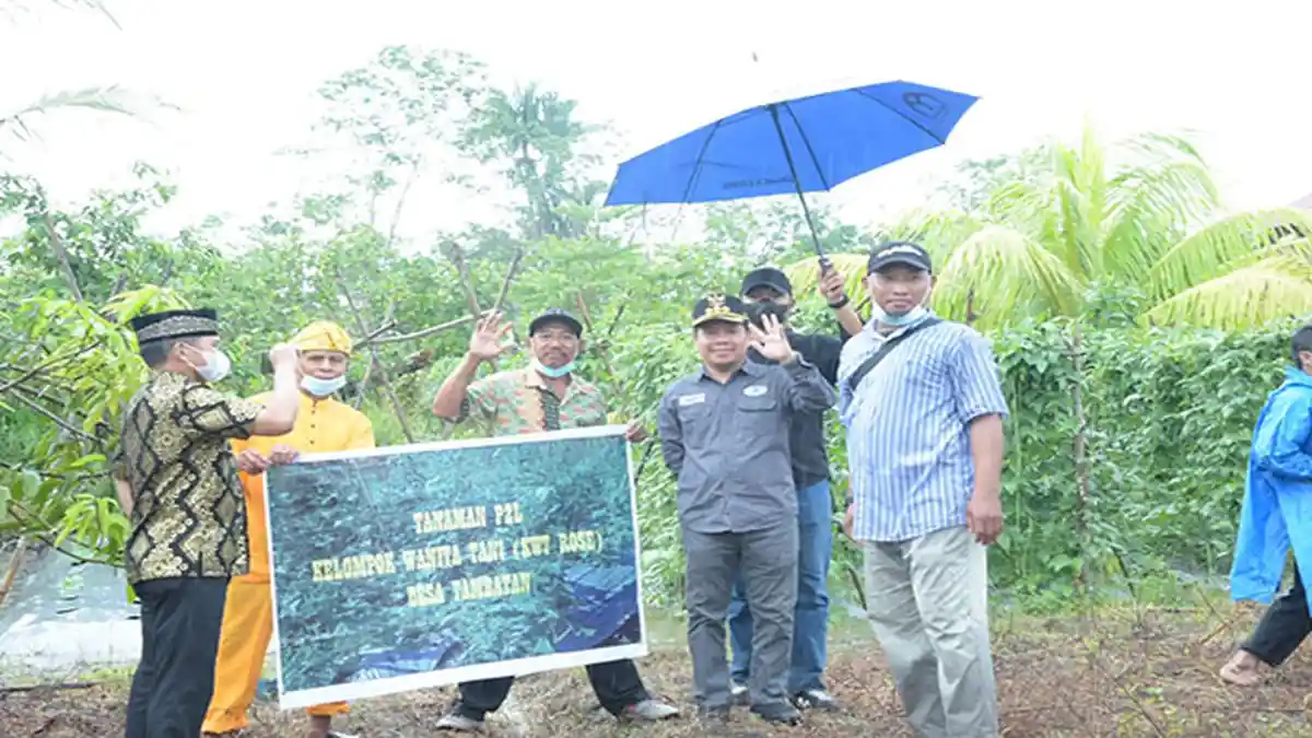 Ketua PKK Ingin Warga Sambas Mandiri Sayur-sayuran