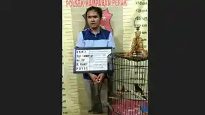 pencuri-burung-di-hamparan-perak.jpg